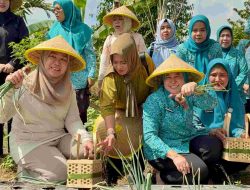 Kolaborasi PKK Sumsel-Palembang Hidupkan Dasawisma dan Pasar Tani