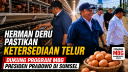 Telur Sumsel Melimpah! Herman Deru Pastikan Pasokan MBG Aman, Kebutuhan Warga Tak Terganggu