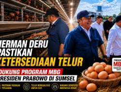 Telur Sumsel Melimpah! Herman Deru Pastikan Pasokan MBG Aman, Kebutuhan Warga Tak Terganggu