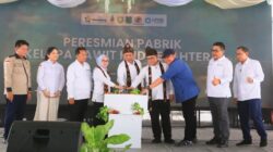 Koperasi Sumsel Naik Kelas! Pabrik CPO KUD Sejahtera Resmi Beroperasi, Herman Deru Dorong Ekonomi Petani